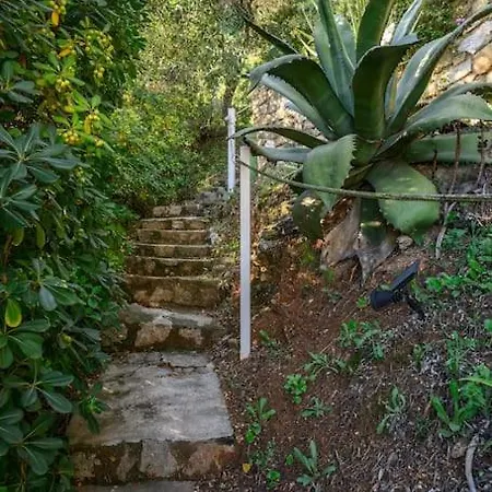 Villa La Avec Vue Panoramique Sur La - Parking Privé - Jacuzzi Menton