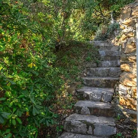 La Avec Vue Panoramique Sur La - Parking Prive - Jacuzzi * Menton