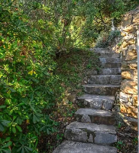 La Avec Vue Panoramique Sur La - Parking Prive - Jacuzzi * Mentona